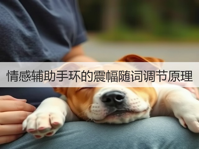 情感辅助手环的震幅随词调节原理(图1) 情感辅助手环的震幅随词调节原理(图1)