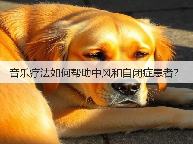音乐疗法如何帮助中风和自闭症患者?(图1) 音乐疗法如何帮助中风和自闭症患者?(图1)