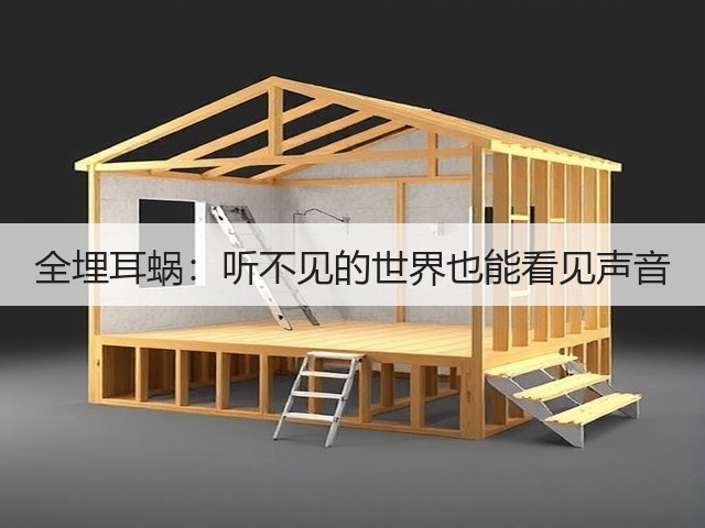 全埋耳蜗:听不见的世界也能看见声音(图3) 全埋耳蜗:听不见的世界也能看见声音(图3)