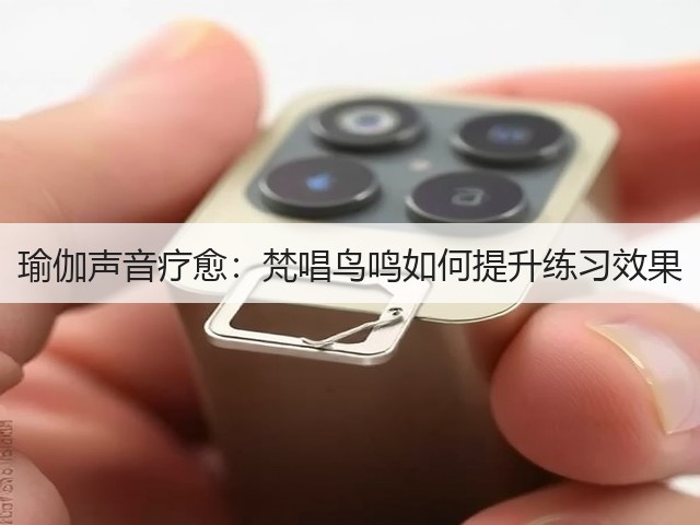 瑜伽声音疗愈:梵唱鸟鸣如何提升练习效果(图3) 瑜伽声音疗愈:梵唱鸟鸣如何提升练习效果(图3)
