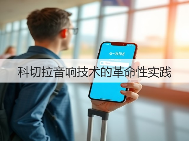 科切拉音响技术的革命性实践(图2) 科切拉音响技术的革命性实践(图2)