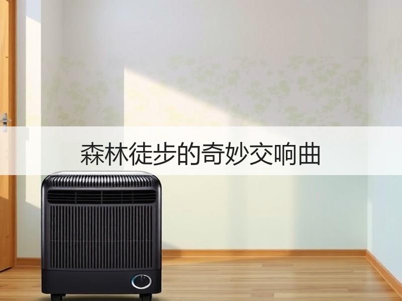 森林徒步的奇妙交响曲