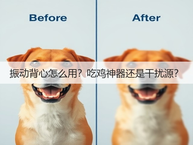 振动背心怎么用？吃鸡神器还是干扰源？(图2)