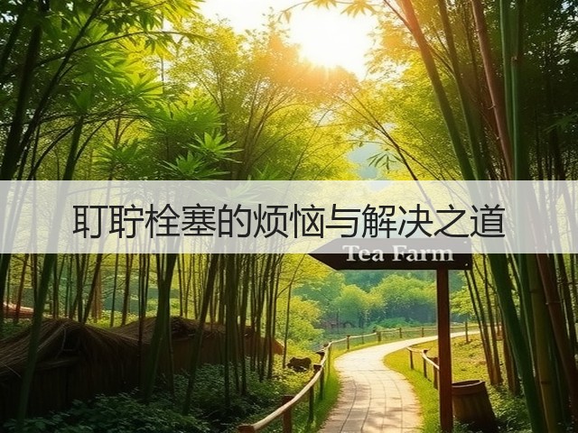 耵聍栓塞的烦恼与解决之道(图3) 耵聍栓塞的烦恼与解决之道(图3)