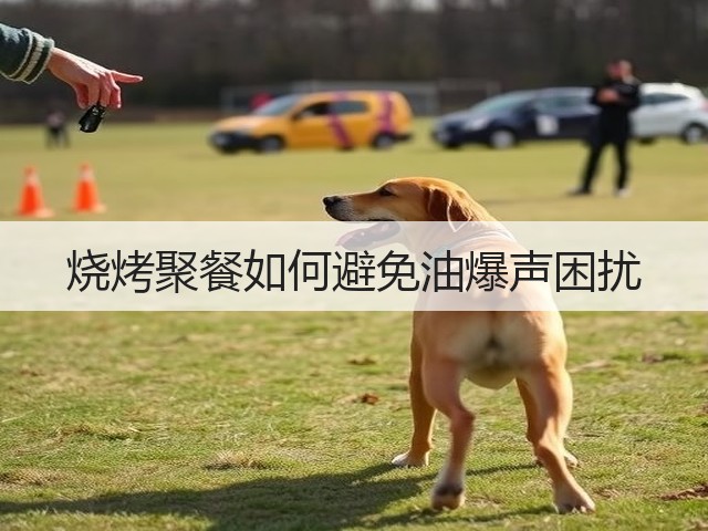 烧烤聚餐如何避免油爆声困扰(图1) 烧烤聚餐如何避免油爆声困扰(图1)