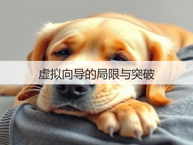 虚拟向导的局限与突破