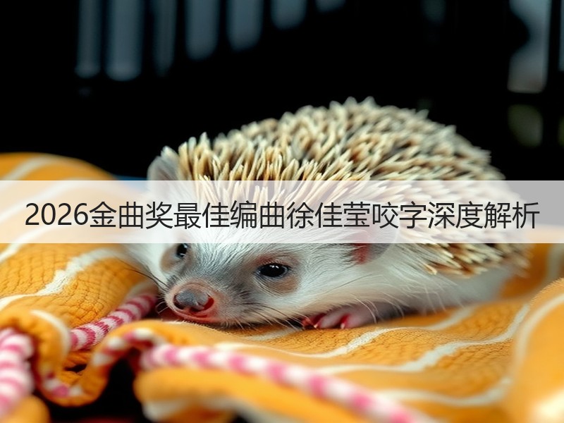 2026金曲奖最佳编曲徐佳莹咬字深度解析