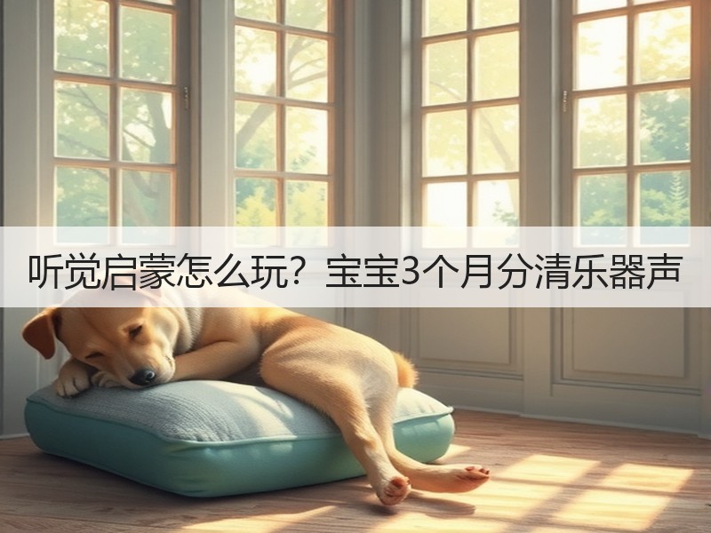 听觉启蒙怎么玩？宝宝3个月分清乐器声