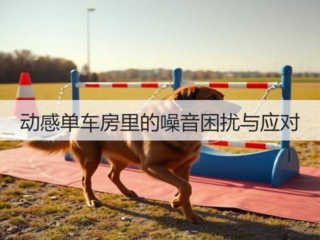 动感单车房里的噪音困扰与应对(图1) 动感单车房里的噪音困扰与应对(图1)