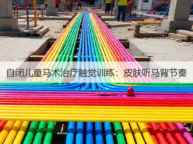 自闭儿童马术治疗触觉训练:皮肤听马背节奏(图1) 自闭儿童马术治疗触觉训练:皮肤听马背节奏(图1)