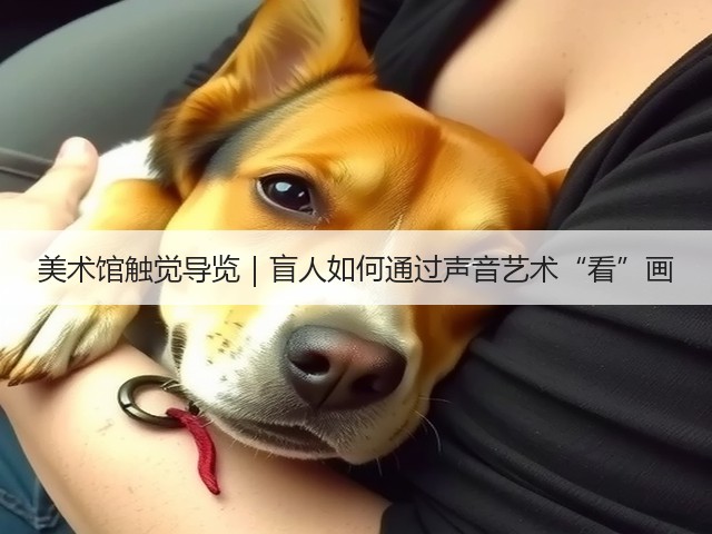 美术馆触觉导览|盲人如何通过声音艺术“看”画(图1) 美术馆触觉导览|盲人如何通过声音艺术“看”画(图1)