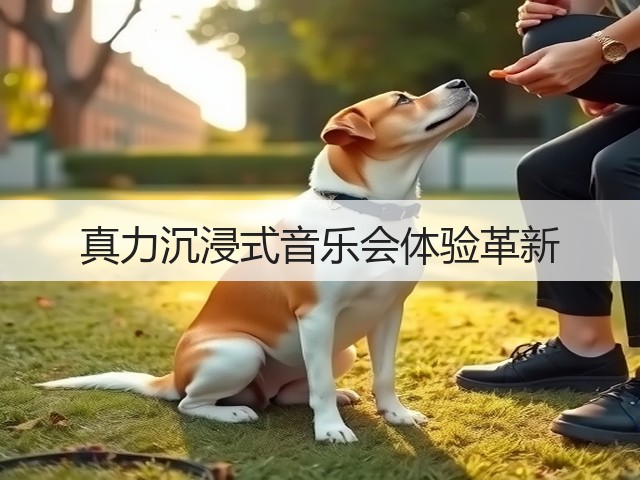 真力沉浸式音乐会体验革新(图1) 真力沉浸式音乐会体验革新(图1)