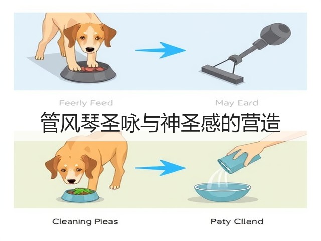 管风琴圣咏与神圣感的营造(图2)