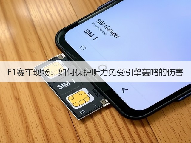 F1赛车现场:如何保护听力免受引擎轰鸣的伤害(图1) F1赛车现场:如何保护听力免受引擎轰鸣的伤害(图1)