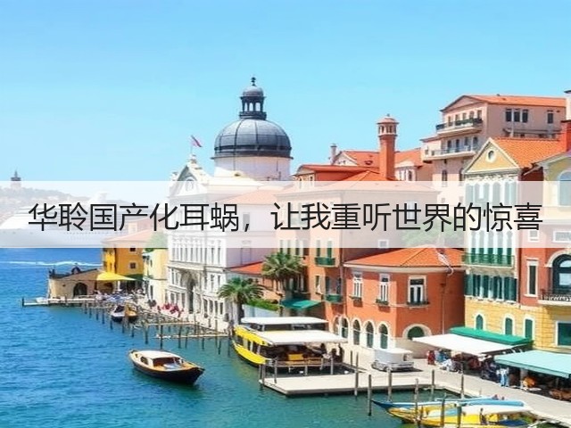 华聆国产化耳蜗,让我重听世界的惊喜(图1) 华聆国产化耳蜗,让我重听世界的惊喜(图1)