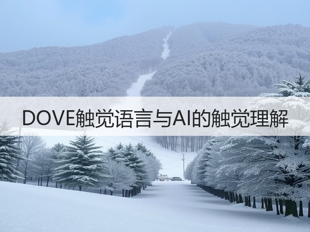 DOVE触觉语言与AI的触觉理解(图2)