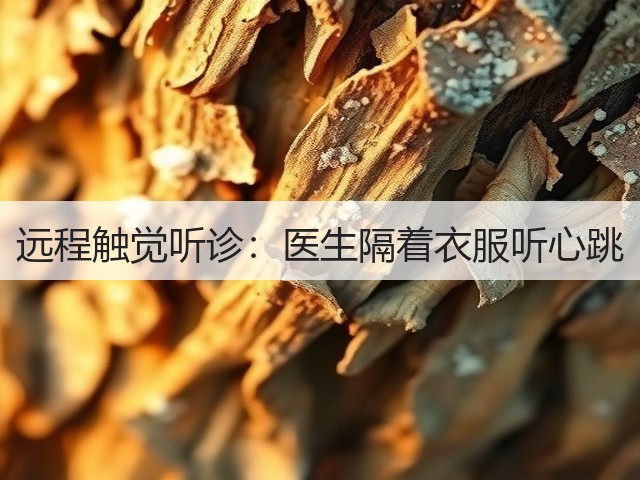 远程触觉听诊：医生隔着衣服听心跳(图1)