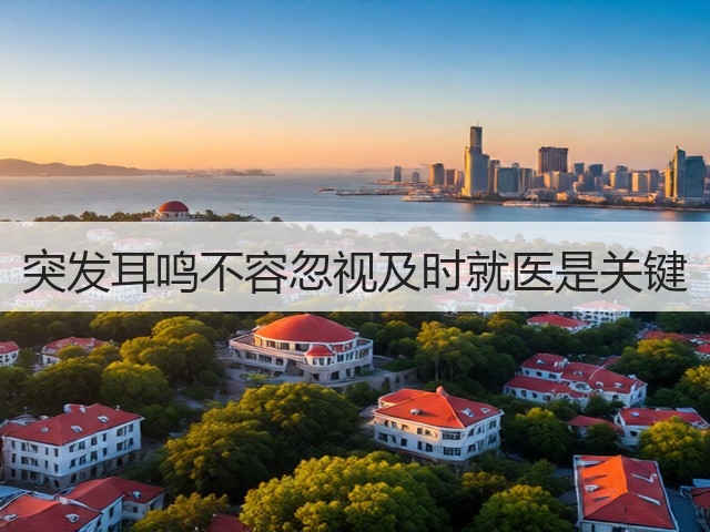突发耳鸣不容忽视及时就医是关键(图2) 突发耳鸣不容忽视及时就医是关键(图2)
