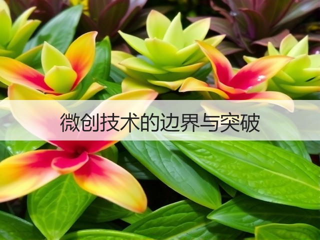 微创技术的边界与突破(图2) 微创技术的边界与突破(图2)