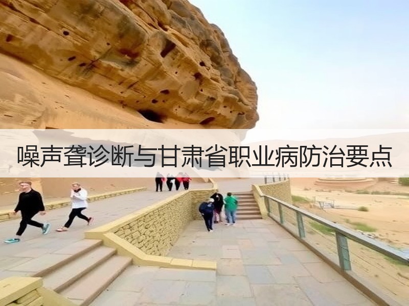 噪声聋诊断与甘肃省职业病防治要点