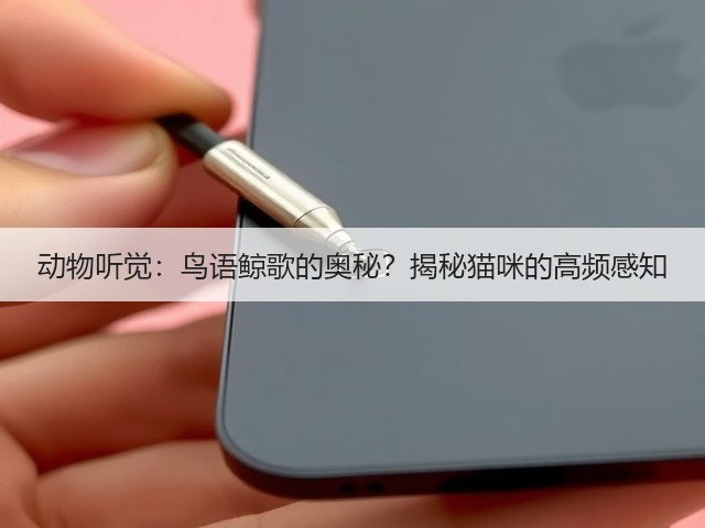 动物听觉:鸟语鲸歌的奥秘?揭秘猫咪的高频感知(图3) 动物听觉:鸟语鲸歌的奥秘?揭秘猫咪的高频感知(图3)