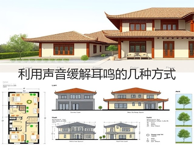利用声音缓解耳鸣的几种方式(图1) 利用声音缓解耳鸣的几种方式(图1)
