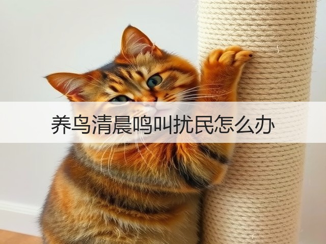 养鸟清晨鸣叫扰民怎么办(图2) 养鸟清晨鸣叫扰民怎么办(图2)