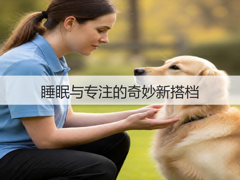 睡眠与专注的奇妙新搭档