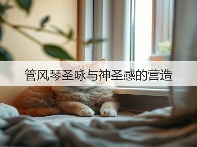管风琴圣咏与神圣感的营造(图3)