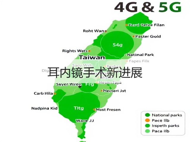 耳内镜手术新进展(图1) 耳内镜手术新进展(图1)