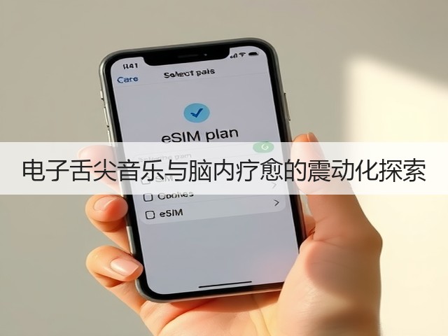 电子舌尖音乐与脑内疗愈的震动化探索(图3) 电子舌尖音乐与脑内疗愈的震动化探索(图3)