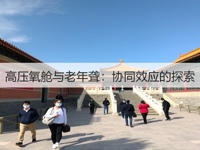 高压氧舱与老年聋:协同效应的探索(图2) 高压氧舱与老年聋:协同效应的探索(图2)