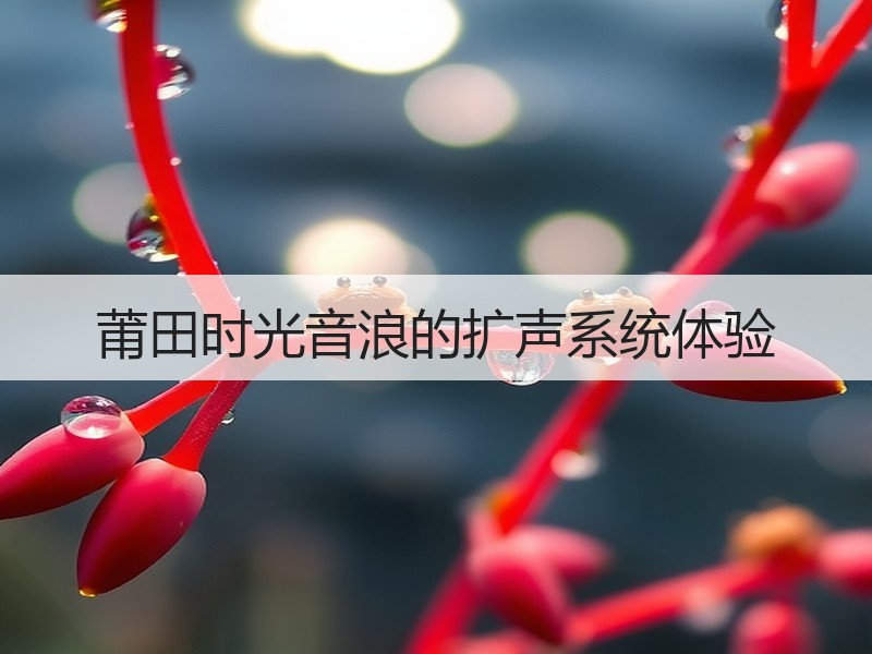 莆田时光音浪的扩声系统体验