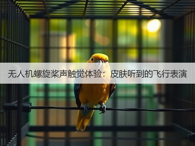 无人机螺旋桨声触觉体验：皮肤听到的飞行表演(图1)