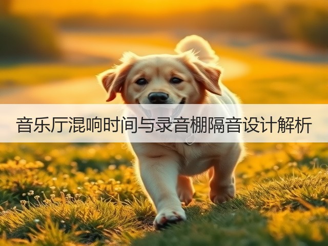 音乐厅混响时间与录音棚隔音设计解析(图3) 音乐厅混响时间与录音棚隔音设计解析(图3)
