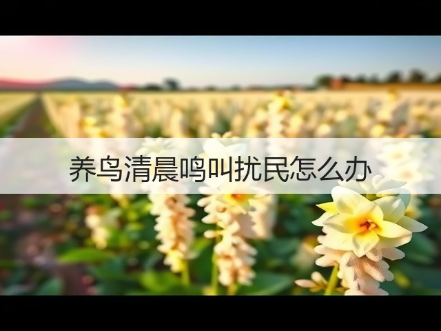养鸟清晨鸣叫扰民怎么办(图1) 养鸟清晨鸣叫扰民怎么办(图1)