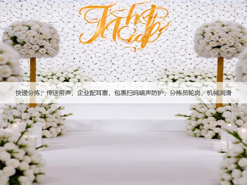 快递分拣，传送带声，企业配耳塞，包裹扫码嘀声防护，分拣员轮岗，机械润滑