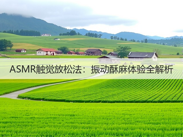 ASMR触觉放松法:振动酥麻体验全解析(图2) ASMR触觉放松法:振动酥麻体验全解析(图2)