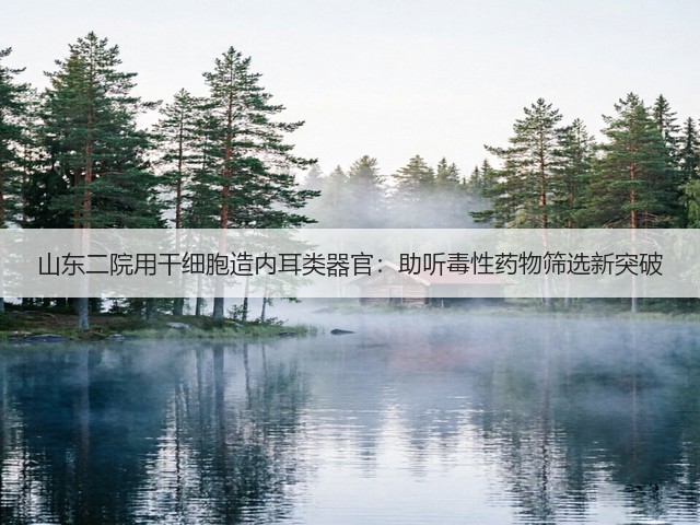 山东二院用干细胞造内耳类器官:助听毒性药物筛选新突破(图3) 山东二院用干细胞造内耳类器官:助听毒性药物筛选新突破(图3)