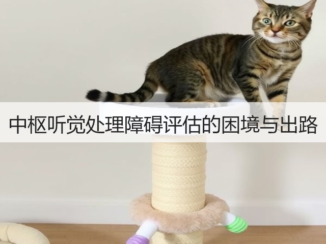 中枢听觉处理障碍评估的困境与出路(图3) 中枢听觉处理障碍评估的困境与出路(图3)