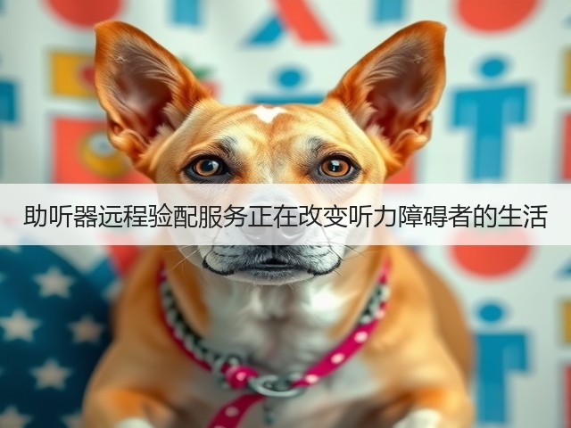 助听器远程验配服务正在改变听力障碍者的生活(图3) 助听器远程验配服务正在改变听力障碍者的生活(图3)