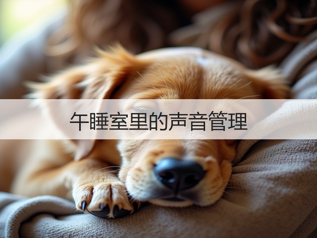 午睡室里的声音管理(图1) 午睡室里的声音管理(图1)