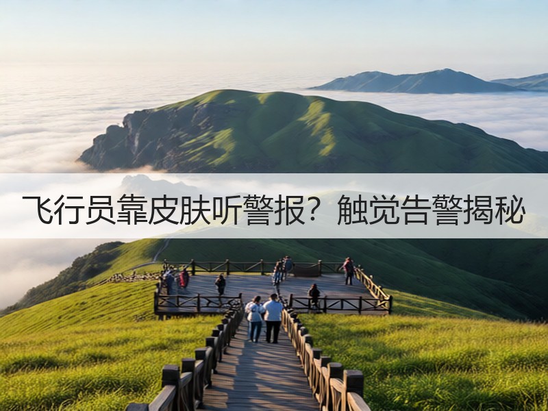 飞行员靠皮肤听警报？触觉告警揭秘