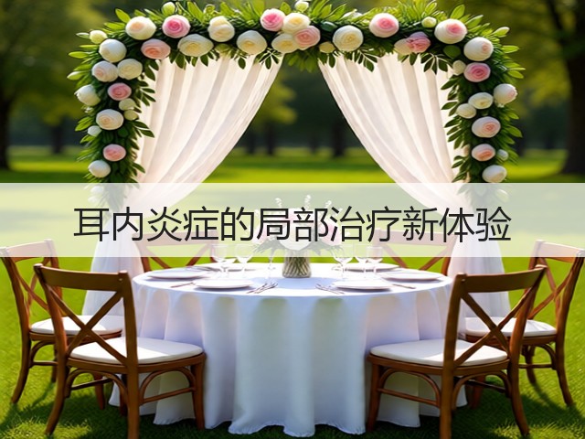耳内炎症的局部治疗新体验(图1)
