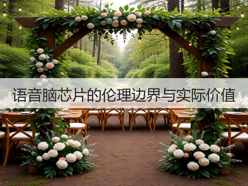 语音脑芯片的伦理边界与实际价值