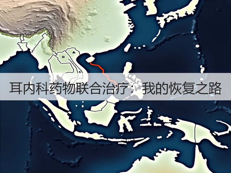 耳内科药物联合治疗：我的恢复之路