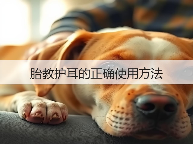 胎教护耳的正确使用方法(图3)
