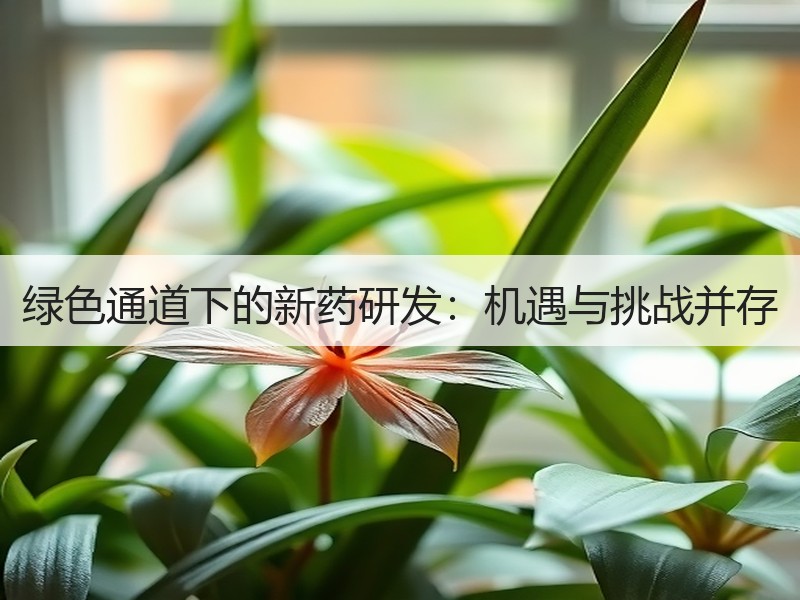 绿色通道下的新药研发：机遇与挑战并存
