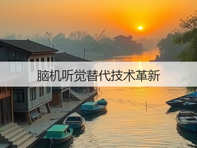 脑机听觉替代技术革新(图1) 脑机听觉替代技术革新(图1)