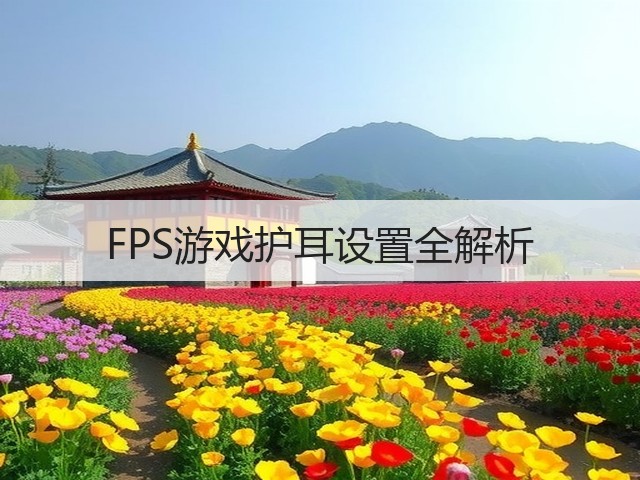 FPS游戏护耳设置全解析(图3) FPS游戏护耳设置全解析(图3)